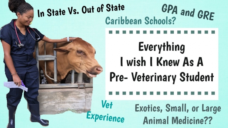 Things I Wish I Knew As A Pre-Vet Student | Before Vet School Tips