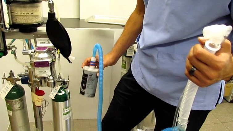 AHS RVTg Program – Veterinary Anesthetic Breathing Circuits