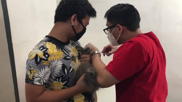 The Day my Pets met the Vet