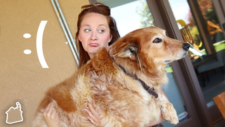 Taking Karma to the Vet! 🏥 (WHAT HAPPENED?!)