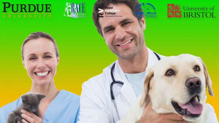 Veterinary Education – Continuing Education