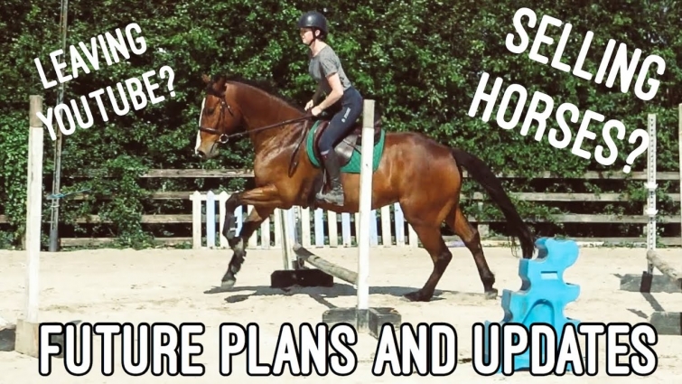 I'M OFFICIALLY A VET! // Future Plans + Barn Vlog