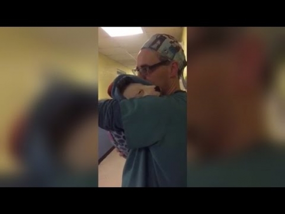 Vet Cradles Scared and Crying Rescue Puppy Just Like a Baby After Surgery