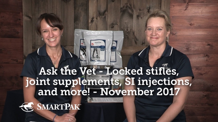 Ask the Vet – Locked stifles, joint supplements, SI injections, and more! – November 2017