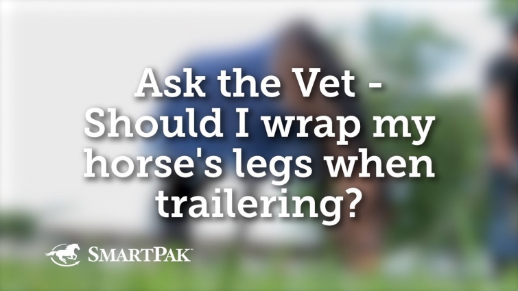 Ask the Vet – Should I wrap my horse's legs when trailering?