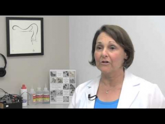 Part 6 – Feline Friendly Handling During Veterinary Visits – Veterinary Teams