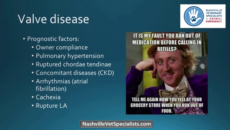 Degenerative Valve Disease: Veterinary Cardiology