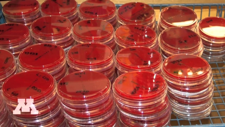 Veterinary Diagnostic Laboratory