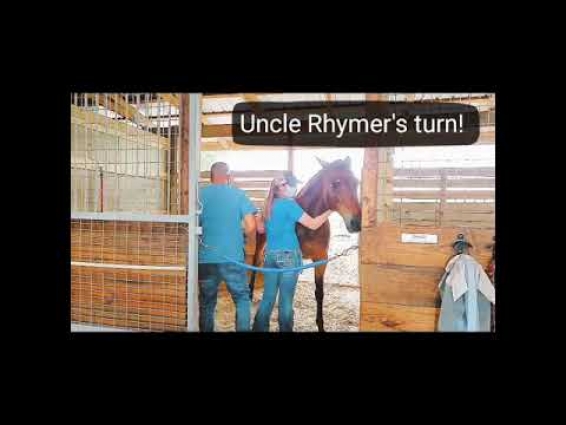 OUR DAY WITH THE VET