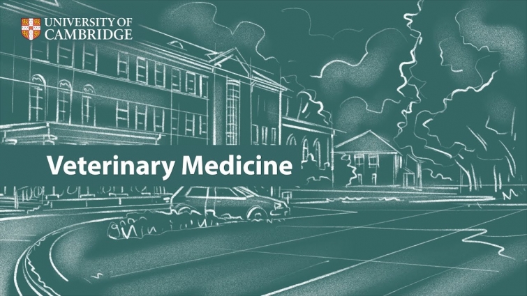 Veterinary Medicine at Cambridge