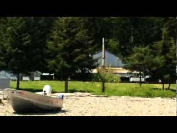 Aquatic veterinary medicine