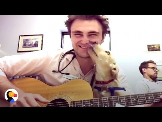 Vet Sings to Calm Pet Patients Down | The Dodo