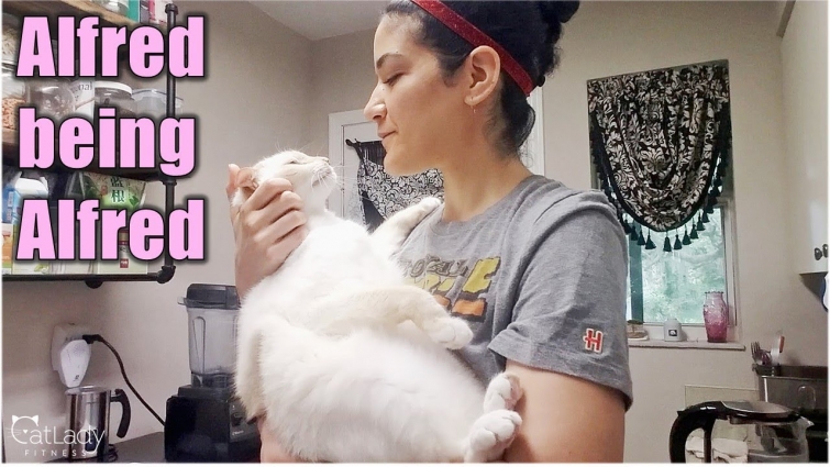 Does your cat do this, too? (plus a special message ❤)