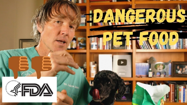 Euthanized Animals In Pet Food From COVID-19?