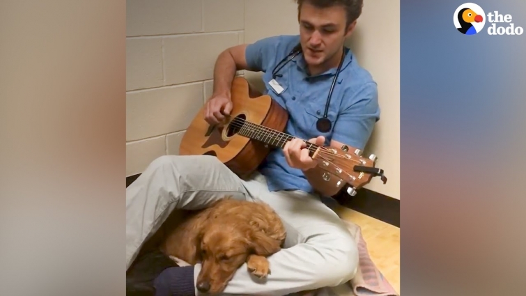 Vet Sings To Puppy to Comfort Dog | The Dodo
