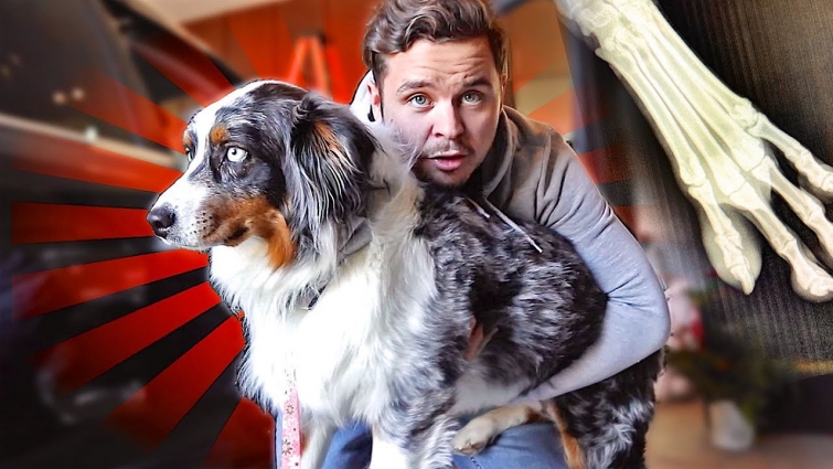 Taking Luna to the Vet! 🏥 (WHAT HAPPENED?!)