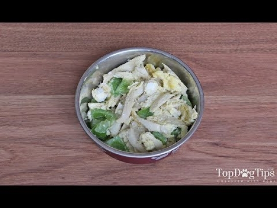 Vet Recommended Homemade Dog Food Recipe