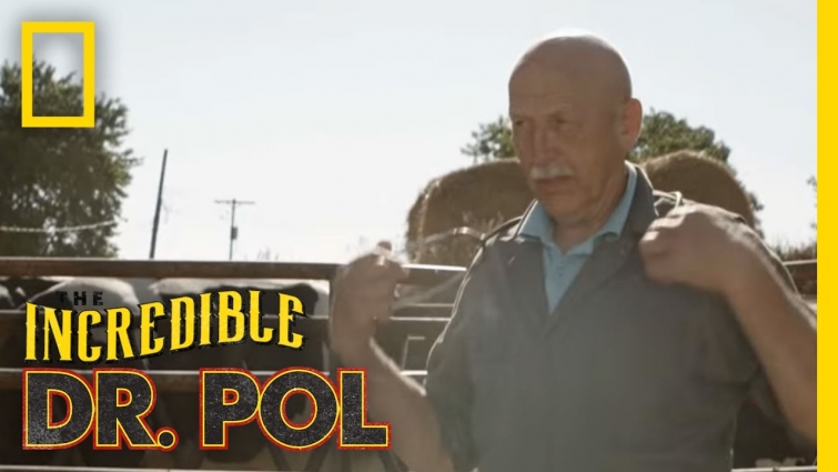Official Trailer | | The Incredible Dr. Pol