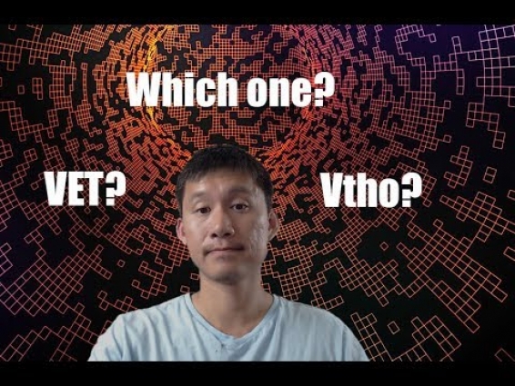 Vechain(VET) or Vtho, which one to buy?