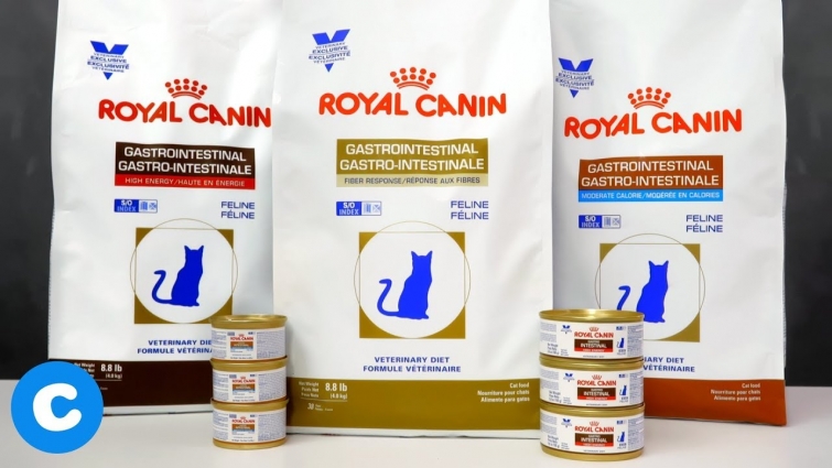 Royal Canin Veterinary Diet Gastrointestinal Formulas for Felines