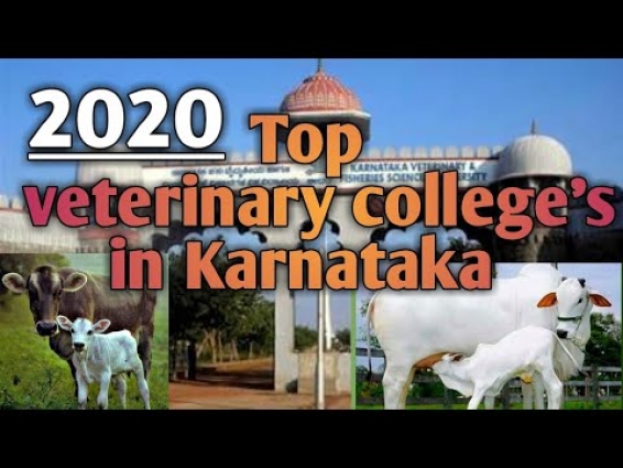 Veterinary College's in  Karnataka