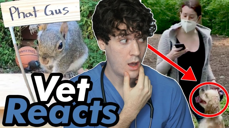Veterinarian Reacts to Viral Pet Videos (Amy Cooper + Mark Rober)
