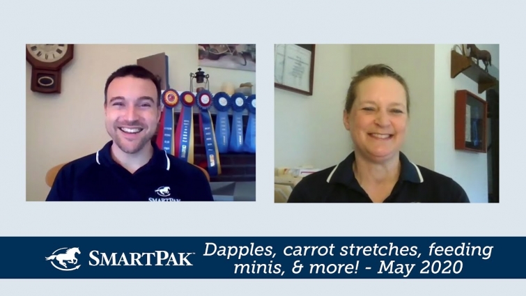 Ask the Vet – Dapples, carrot stretches, feeding minis, and more! – May 2020