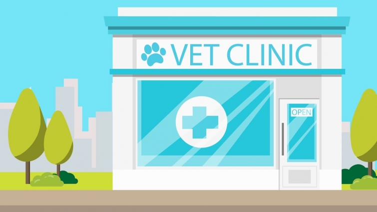 Dog hates going to the vet – How to make vet visits better for your dog (12 TIPS)