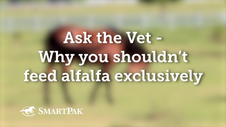 Ask the Vet – Why you shouldn't feed alfalfa exclusively