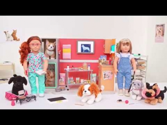 Our Generation Dolls – Healthy Paws Vet Clinic