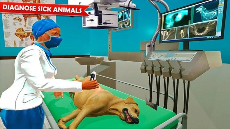 Pet Hospital Vet Clinic Animal Vet Pet Doctor Game Android Gameplay