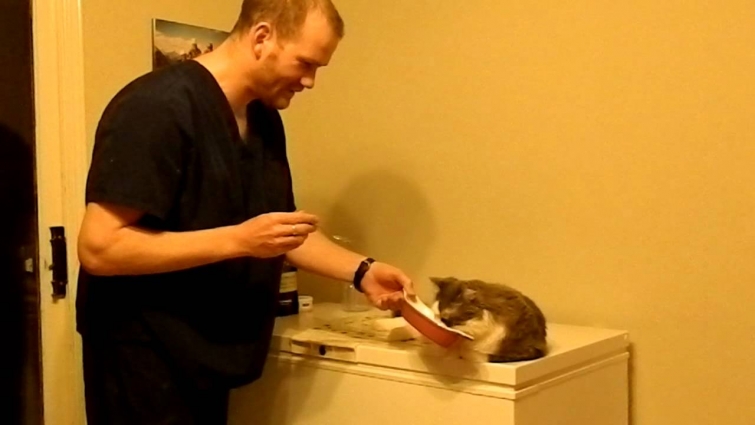 Dr. Murray Matheson, Veterinarian: How to Feed Mila (Omega 3 fatty acids) to your pets.
