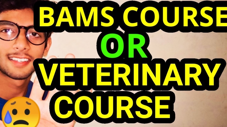 ⭕ VETERINARY OR BAMS SALARY SCOPE IN INDIA 2020 ADMISSION🔴🔴🔴🔴