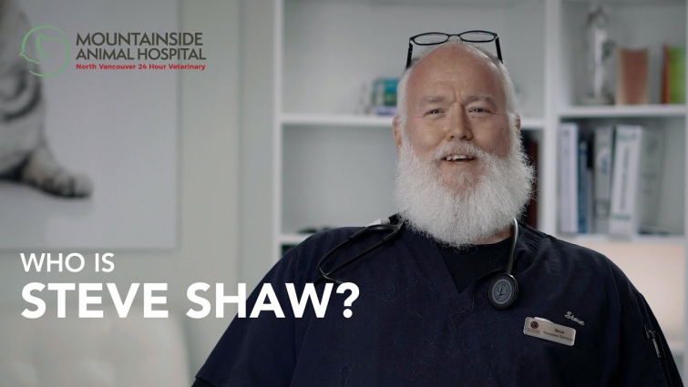 Team Intro Video for Mountainside Animal Hospital: Meet Steve Shaw