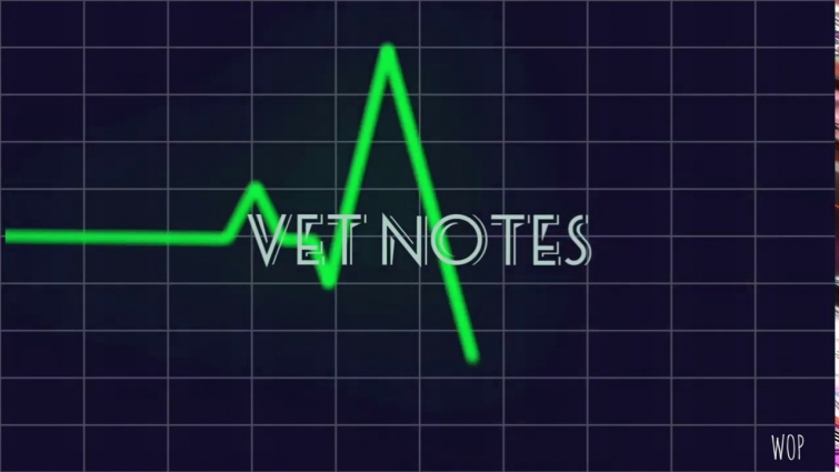 Vet Notes intro