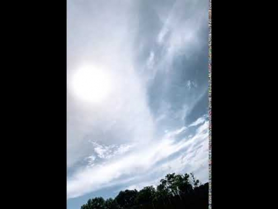 Happy Pets equal Happy Owners at Oxford Veterinary Clinic