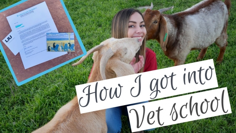 Getting into vet school | Academics