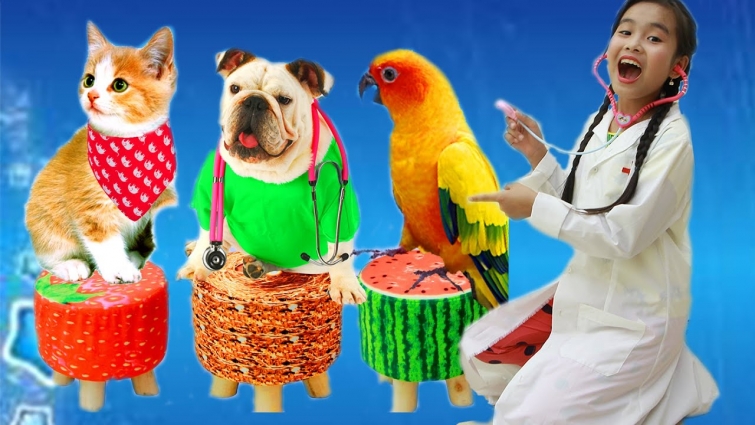 Kunkun works as a veterinarian and cures pets || Dom and Kudo