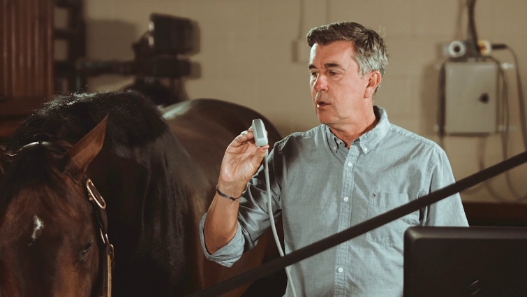 Equine Neck Ultrasound Exam: SonoSite Veterinary Education