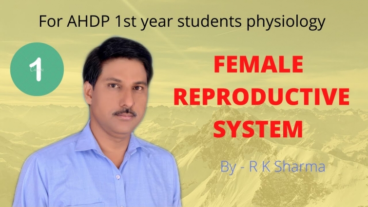 Female reproductive system, part 1, veterinary physiology