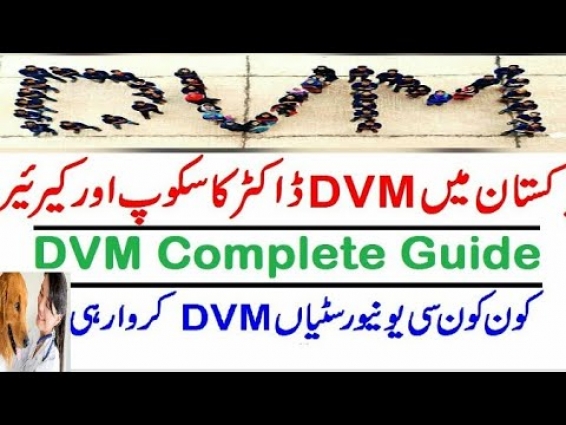 Doctor of Veterinary Medicine (DVM) Scope|| Admission|| Career|| Salary|| In Pakistan || Ilmi dunya
