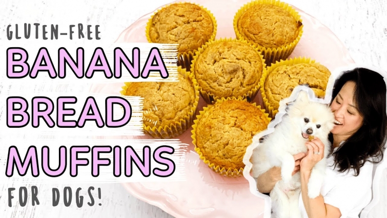 Banana Bread Muffins // DIY Dog Treat Recipe // Homemade dog treat recipe