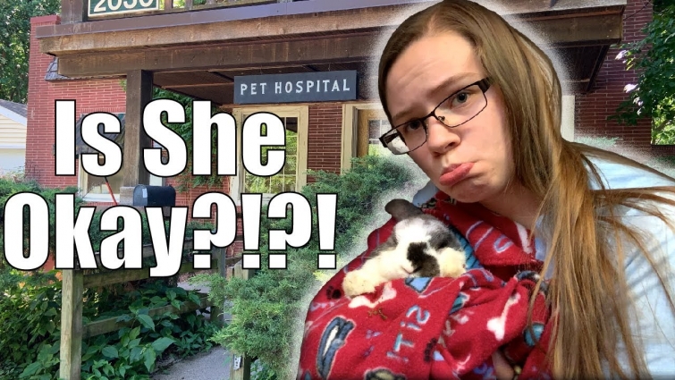 GI STASIS: My Rabbit Goes into GI Stasis | Taking Bunny to the Vet | Sick Rabbit | Is She Okay?!?!