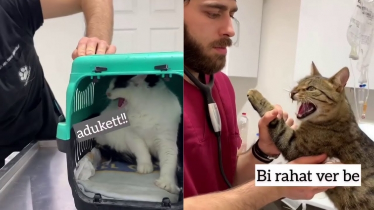 Veterinere Sinirlenen Hayvanlar #2 (İnanoğluvet)-Animals angry at the vet