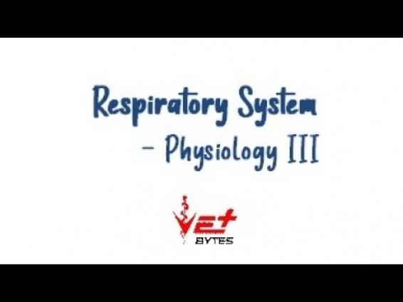 Dead space, Pulmonary volumes and Capacities | Vet bytes | Veterinary Physiology