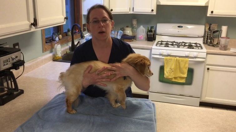 Michelle Rood – Restraint video project