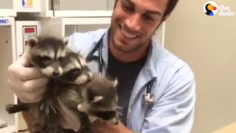 Sexy Vet Will Care For ANY Animal | The Dodo