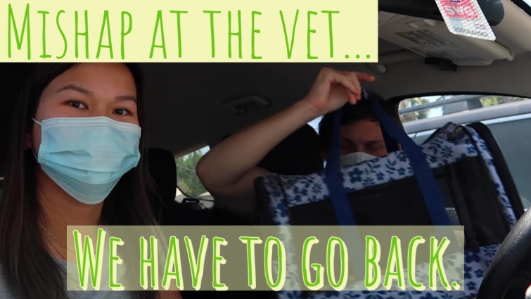 UNPREDICTABLE VET VISIT… | VLOG