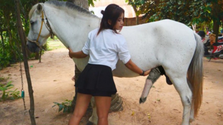 Village Girl Training Black Horse And Care