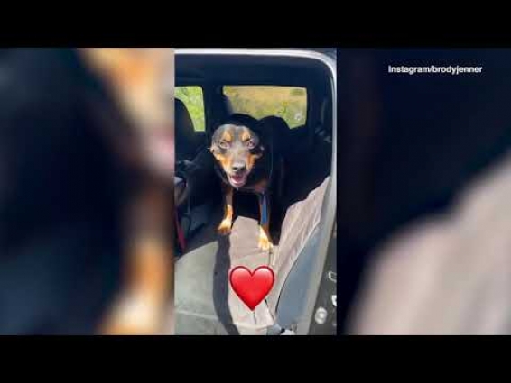 Brody Jenner visits the vet after enjoying a lunch in Malibu